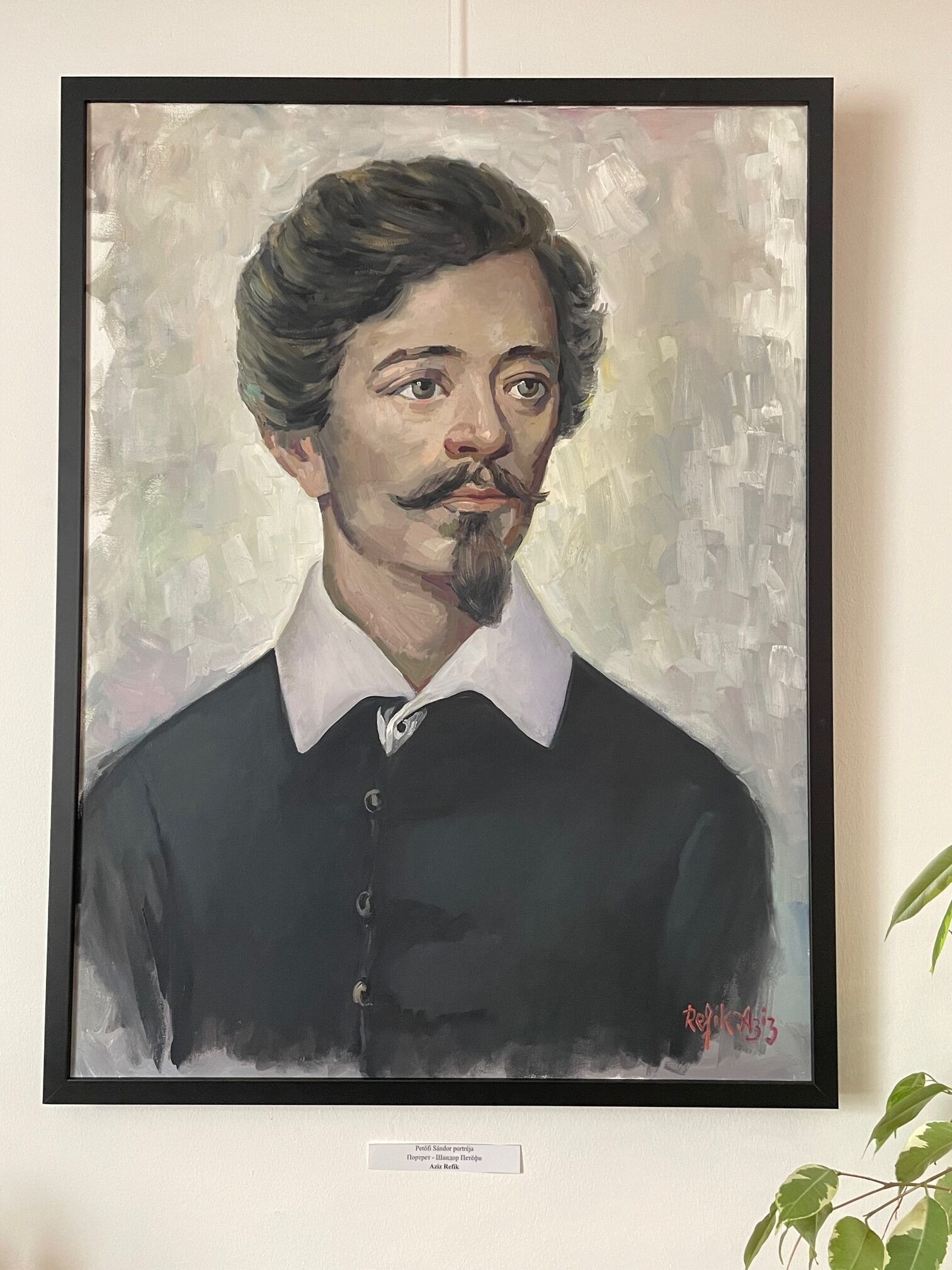 Paár Ádám: A 19. század influenszerei